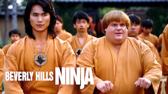 Beverly Hills Ninja (1997)